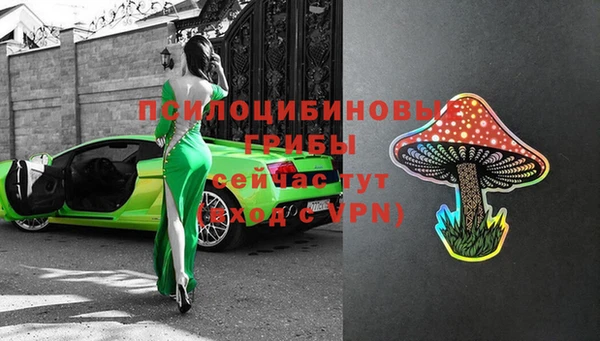 кокс Бородино