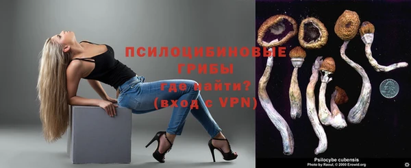 гидра Бронницы