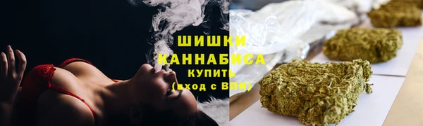 гидра Бронницы