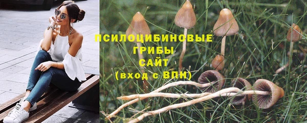 кокс Бородино