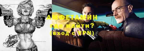 гидра Бронницы