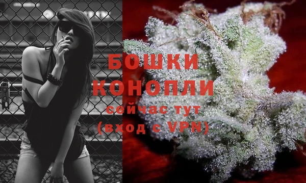 кокс Бородино